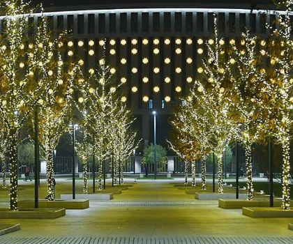 Рождественская феерия парка Галицкого