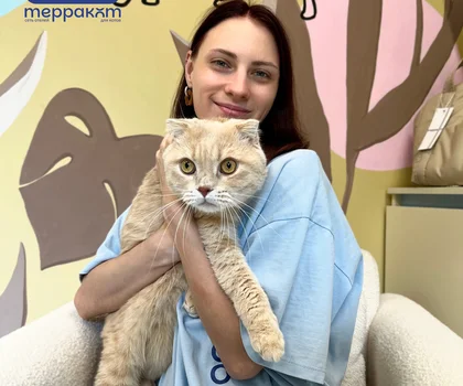 Экскурсия в отель для котиков - 22-08-2026 14:00