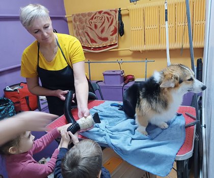 Экскурсия в груминг + дрессированные собаки